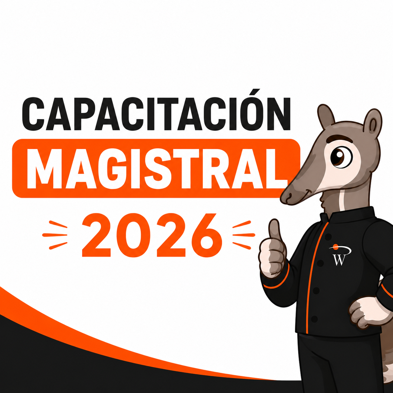 CAPACITACIÓN MAGISTRAL